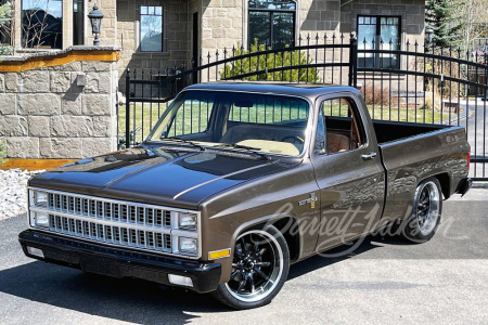 1982 CHEVROLET C10 CUSTOM PICKUP