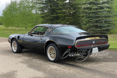 1981 PONTIAC FIREBIRD TRANS AM - 2