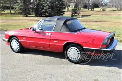 1988 ALFA ROMEO SPIDER GRADUATE - 8