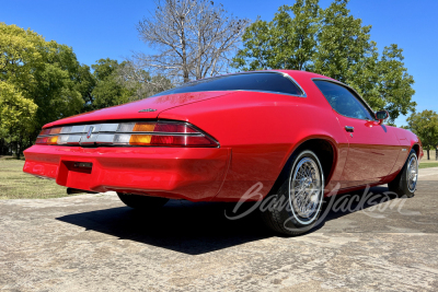 1981 CHEVROLET CAMARO - 2