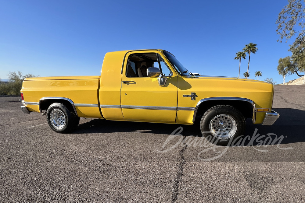 1981 CHEVROLET C10 CUSTOM PICKUP