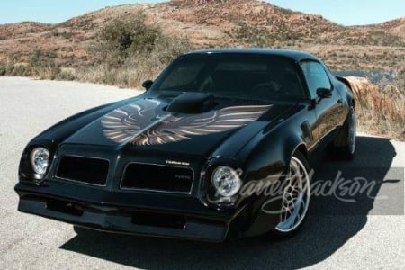 1976 PONTIAC FIREBIRD TRANS AM CUSTOM COUPE