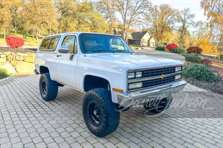 1989 CHEVROLET K5 BLAZER CUSTOM SUV