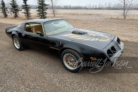 1980 PONTIAC FIREBIRD TRANS AM WS6