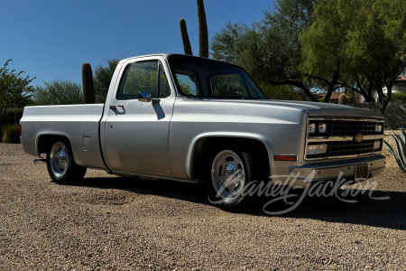 1979 CHEVROLET C10 CUSTOM PICKUP