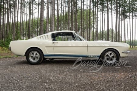 1965 SHELBY GT350