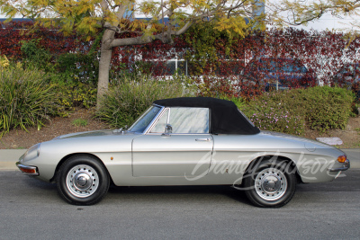 1967 ALFA ROMEO DUETTO SPIDER - 5