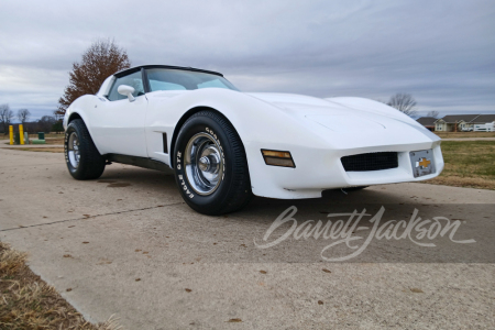 1981 CHEVROLET CORVETTE